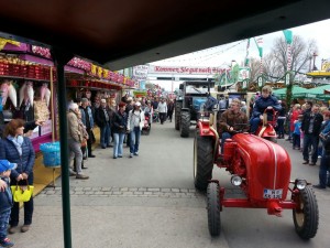 IMG_0785